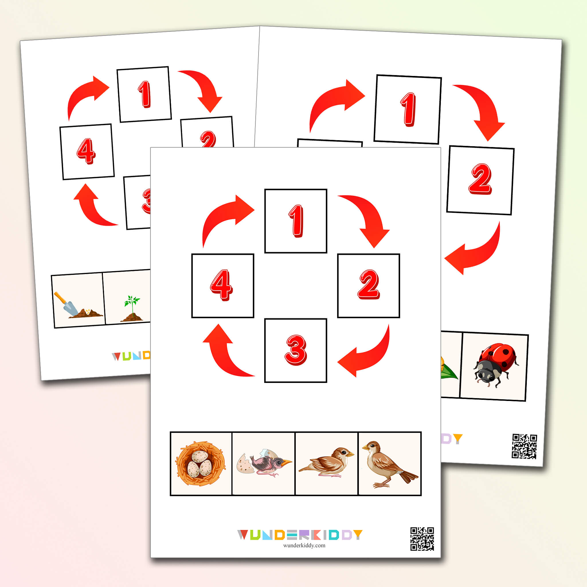 Science Activity Animals and Plants Life Cycle