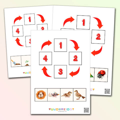 Science Activity Animals and Plants Life Cycle - Image 2