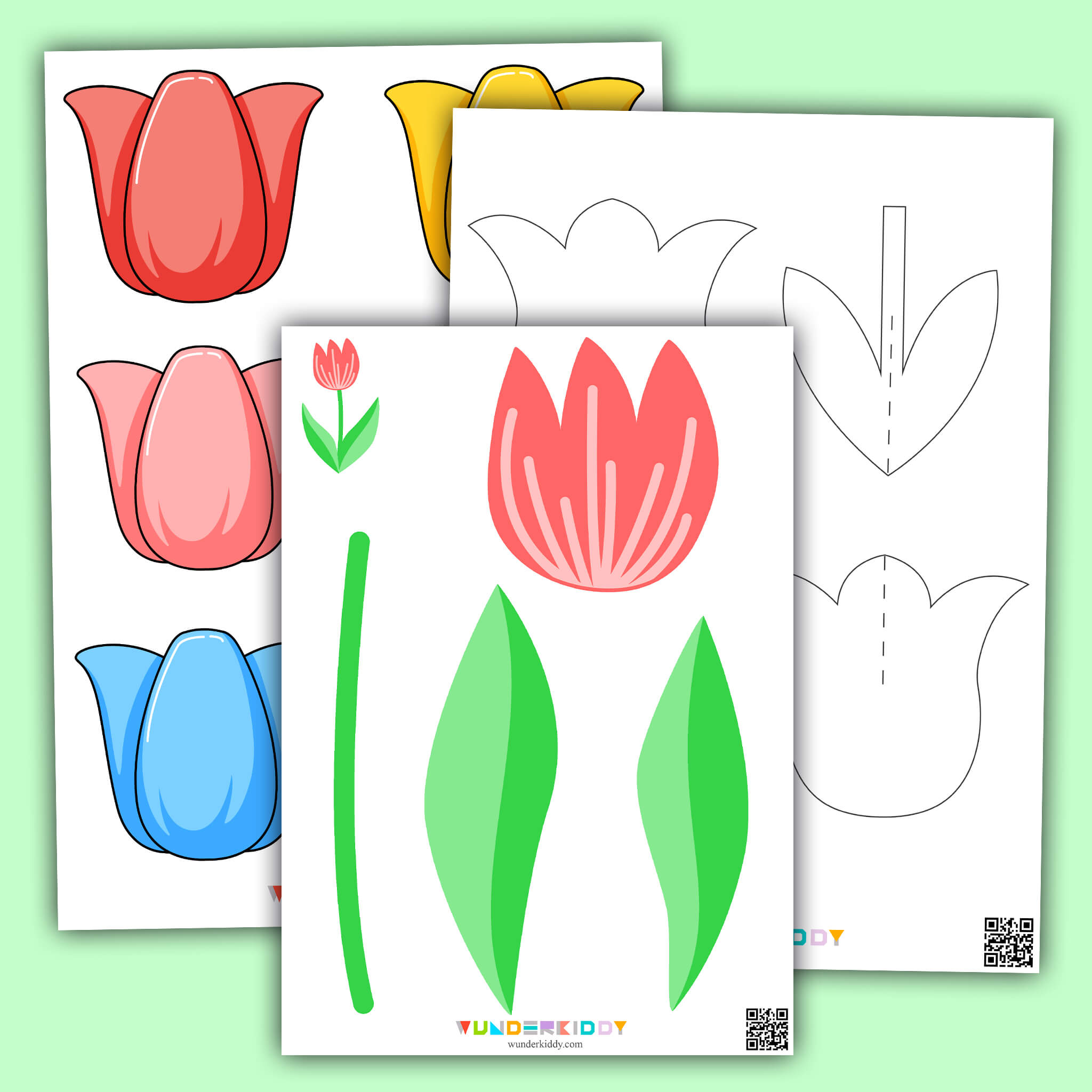 Tulip Template