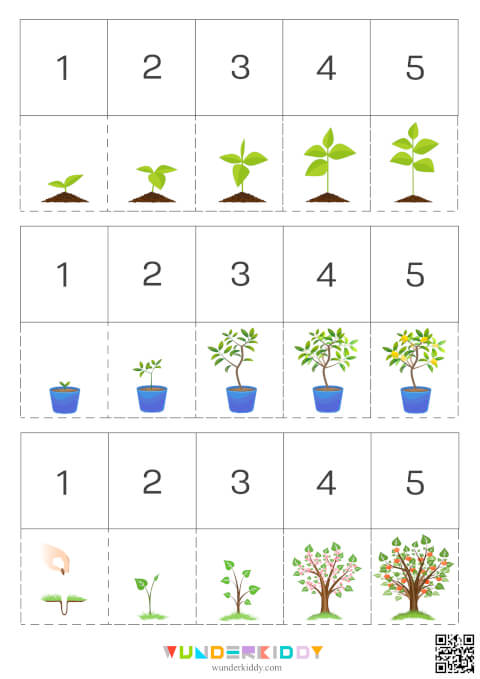 Дидактична гра «Як ростуть рослини?» - Зображення 2