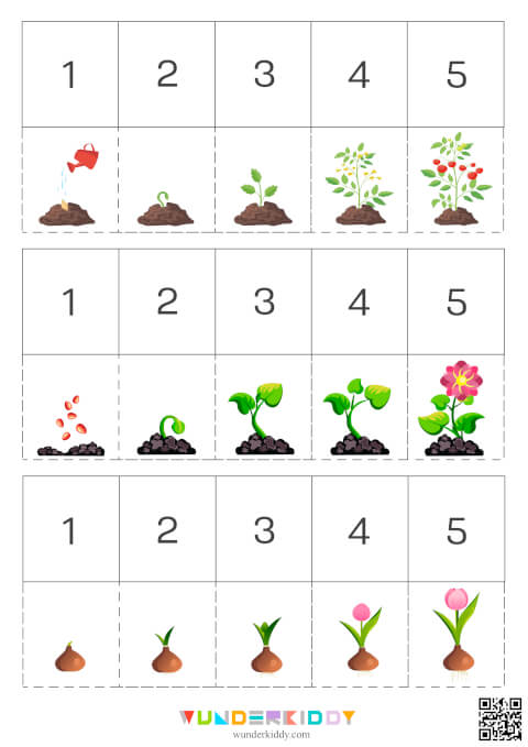 Дидактична гра «Як ростуть рослини?» - Зображення 3