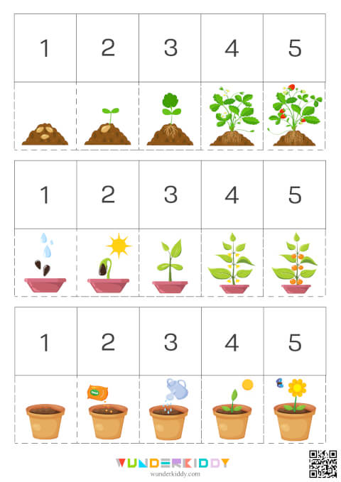 Дидактична гра «Як ростуть рослини?» - Зображення 4