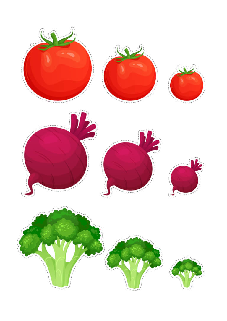 Activity sheet «Small, large or medium» - Download or print for free