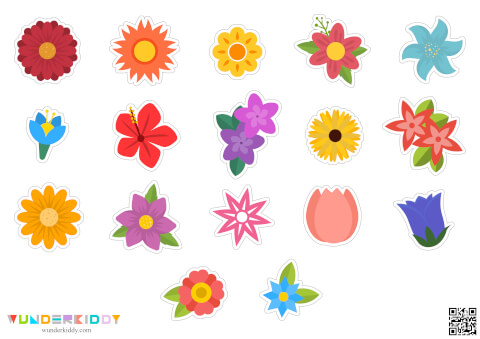 Spring Hedgehog: Visual Perception Activity - Image 3