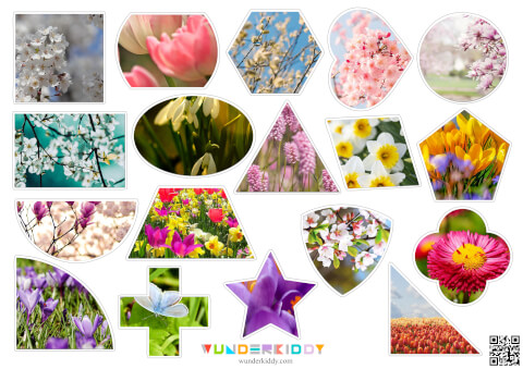 Spring Shape Matching Game - Image 5