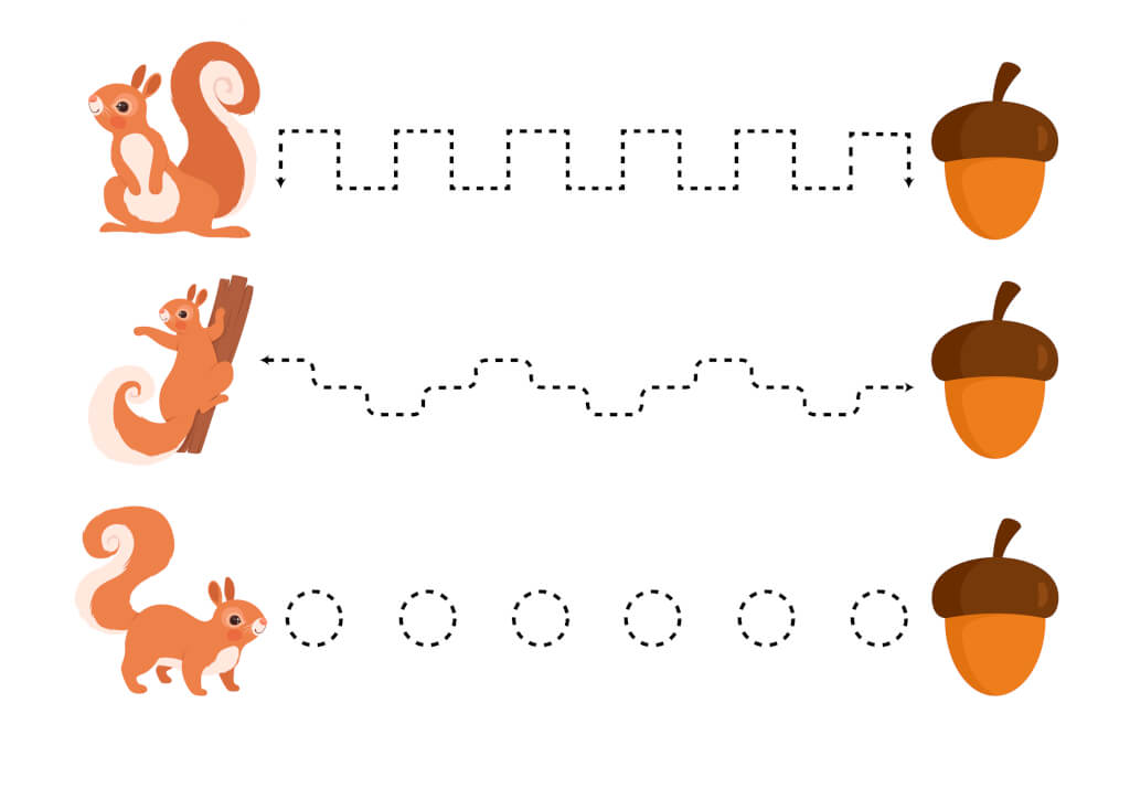 Worksheets «Squirrel and acorn» - Download or print for free