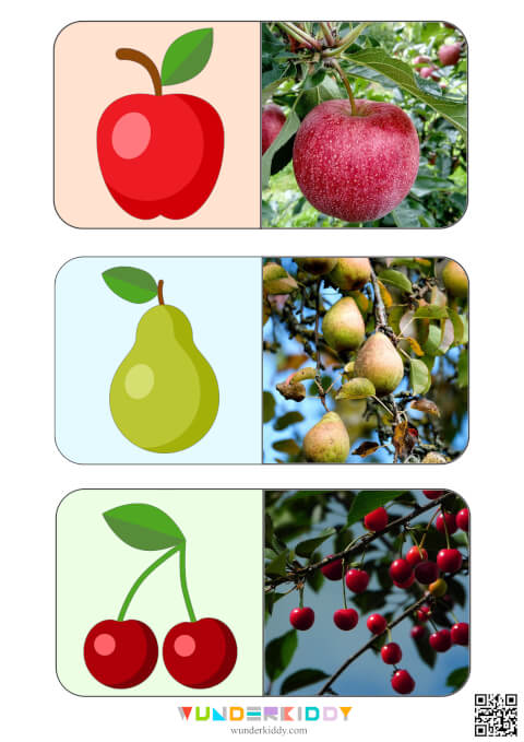 Sweet Fruits Montessori Activity - Image 2