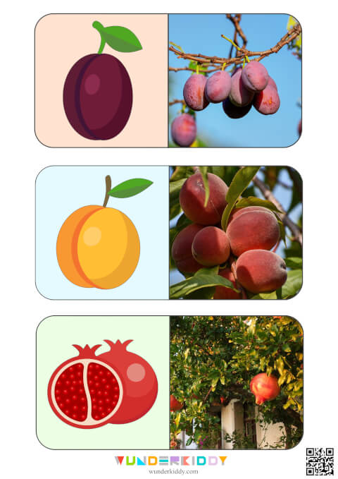 Sweet Fruits Montessori Activity - Image 3