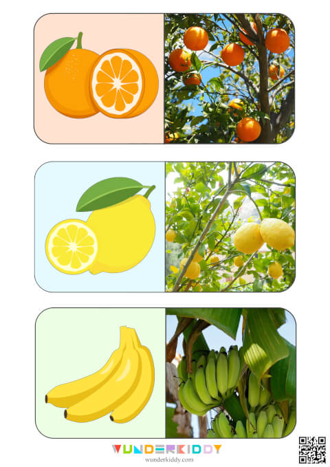 Sweet Fruits Montessori Activity - Image 4
