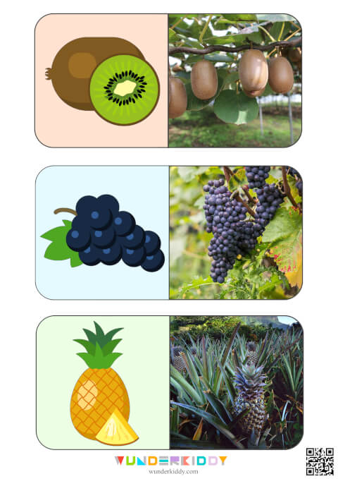 Sweet Fruits Montessori Activity - Image 5