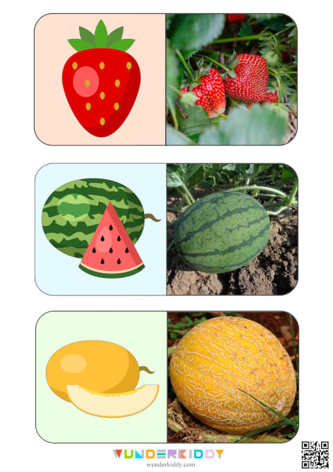 Sweet Fruits Montessori Activity - Image 6
