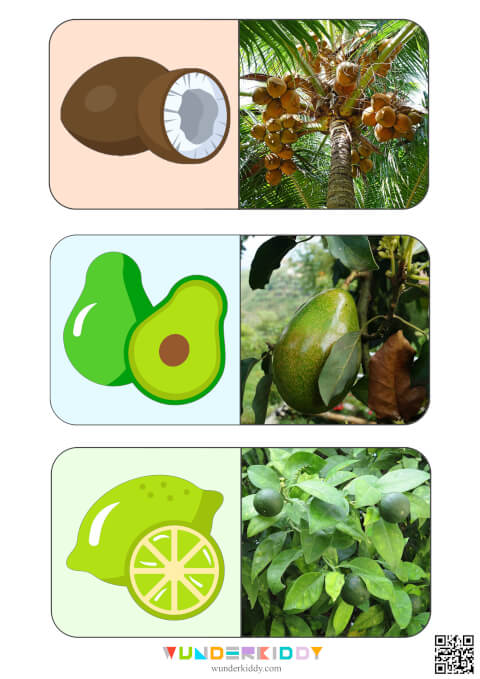 Sweet Fruits Montessori Activity - Image 7