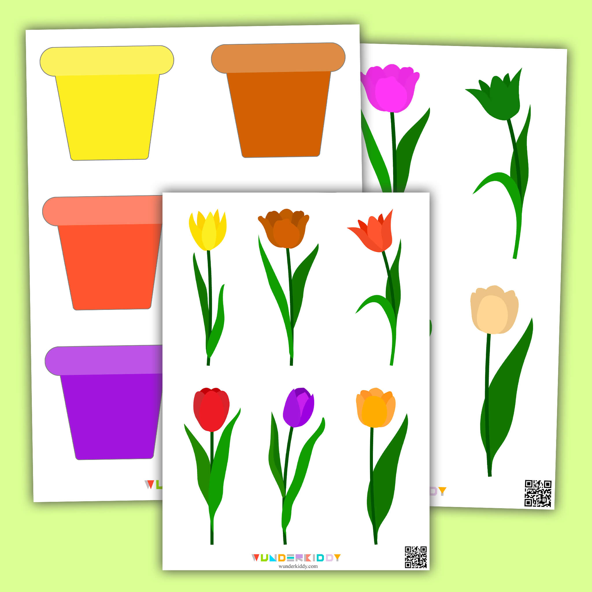 Tulip Color Matching Activity