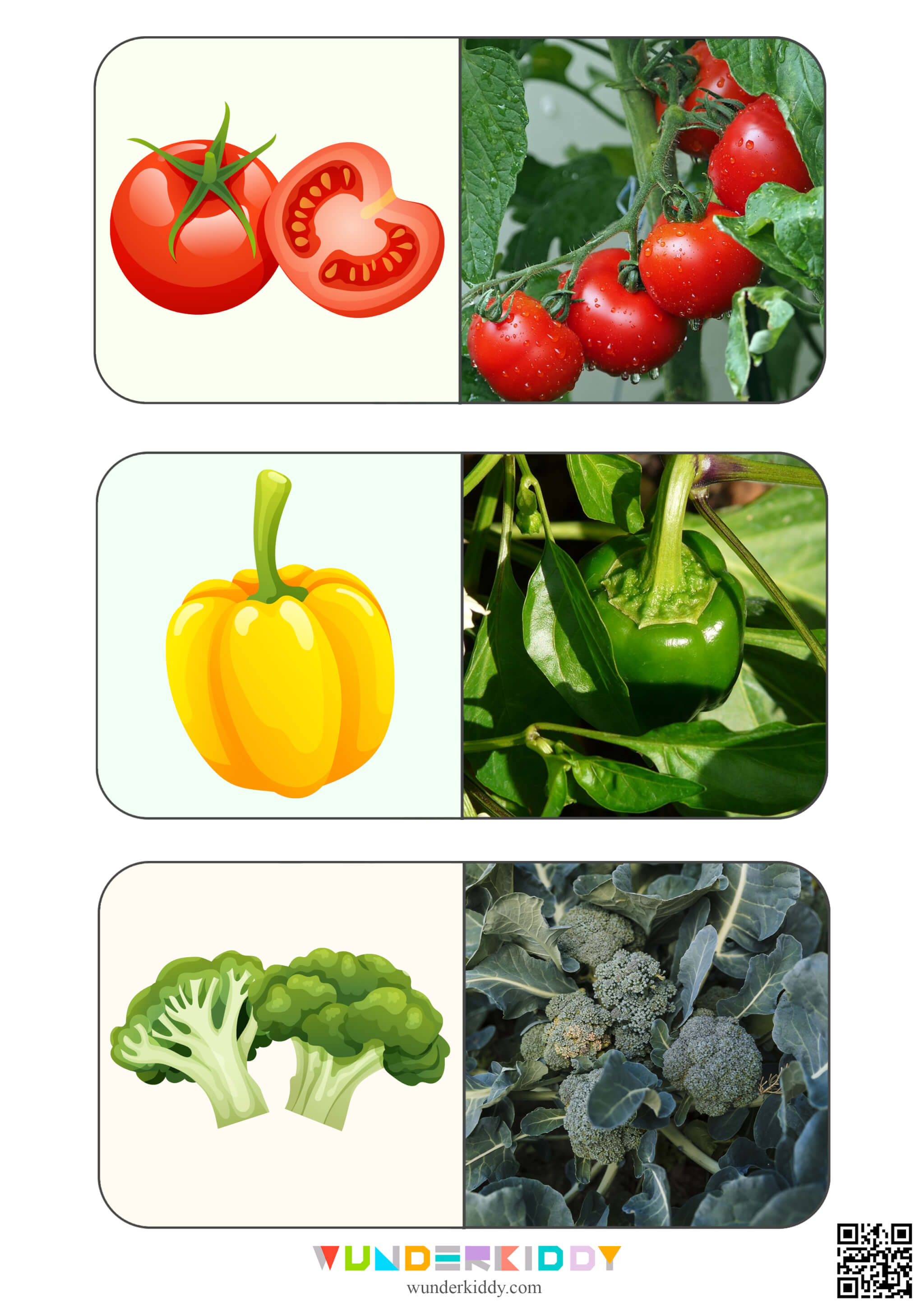 Карточки на подбор пары «Овощи» - Изображение 2