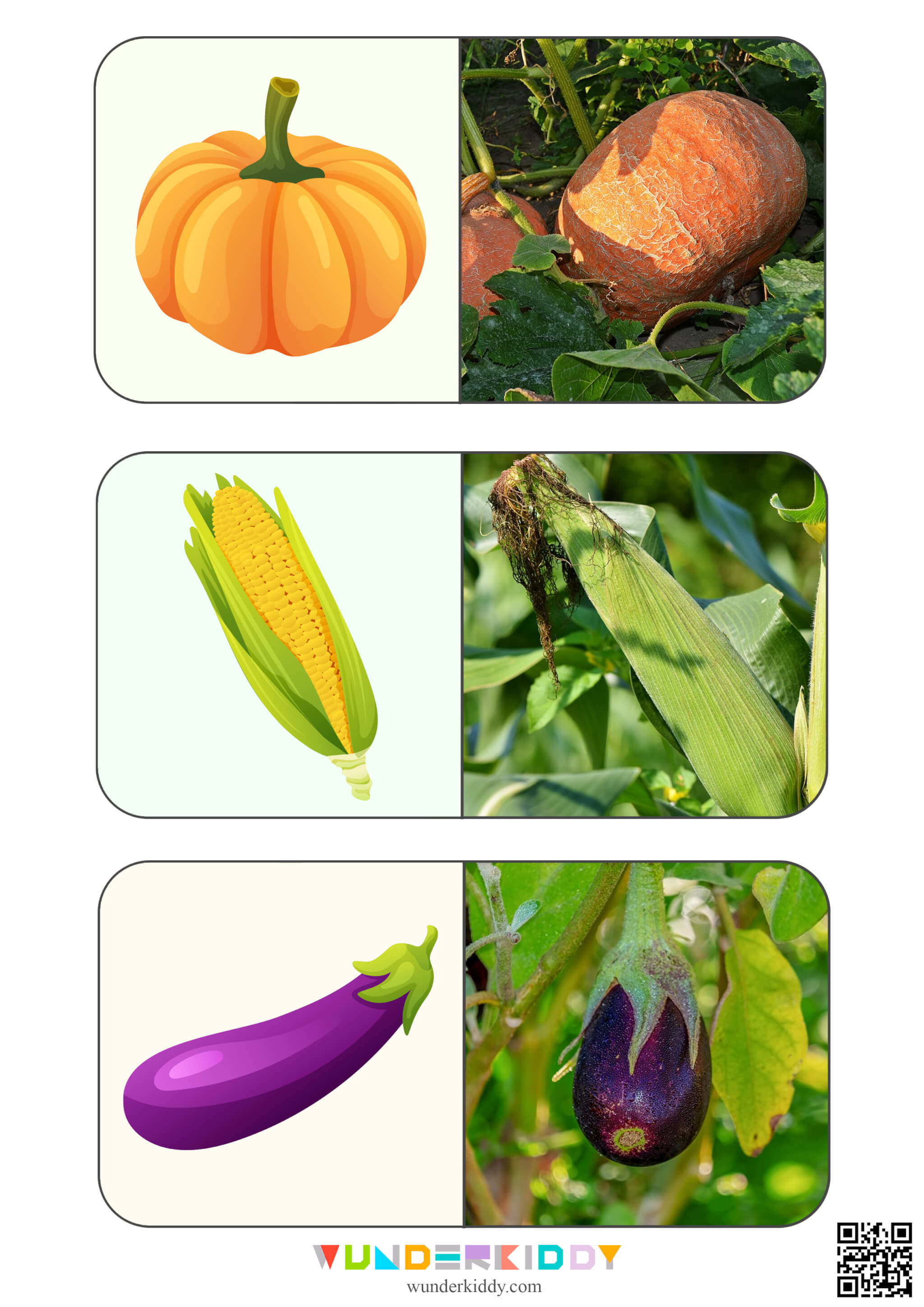 Навчальні картки «Овочі» - Зображення 3