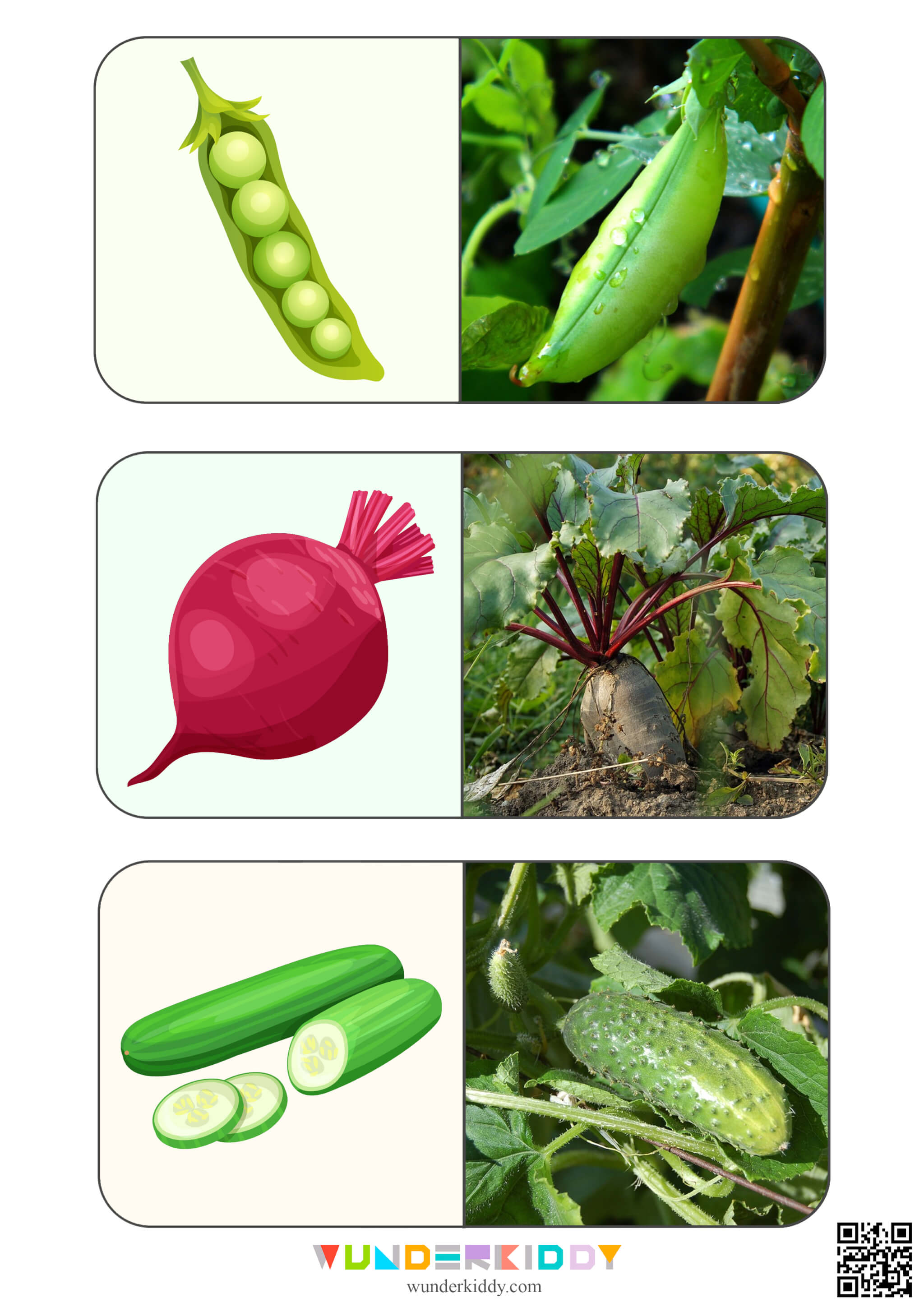 Карточки на подбор пары «Овощи» - Изображение 4