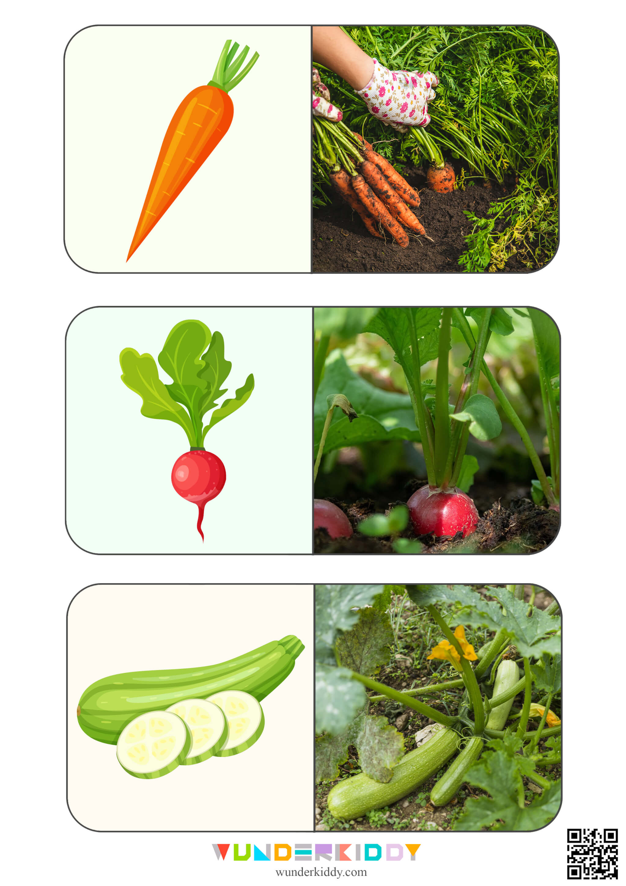 Карточки на подбор пары «Овощи» - Изображение 5