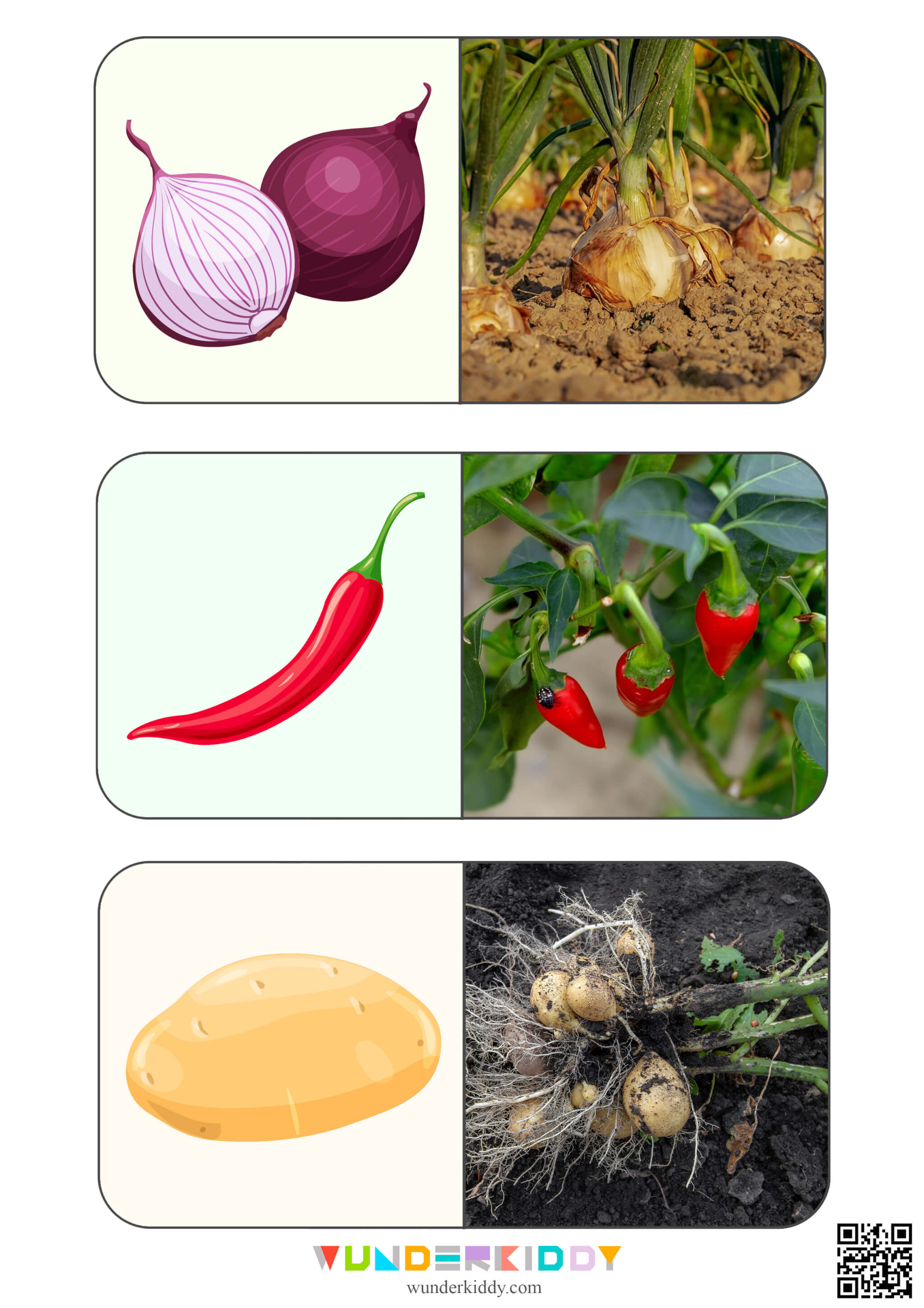 Карточки на подбор пары «Овощи» - Изображение 6