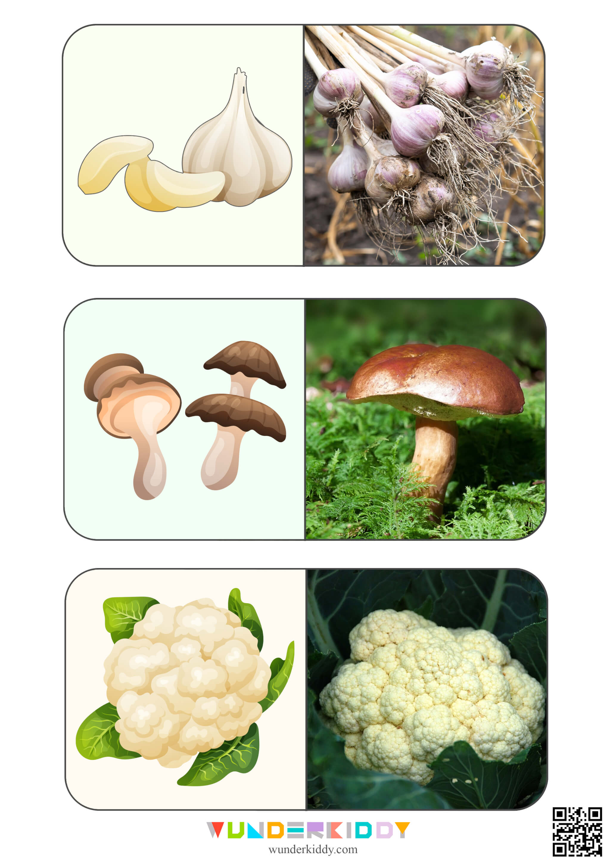 Vegetable Montessori Display Cards - Image 7