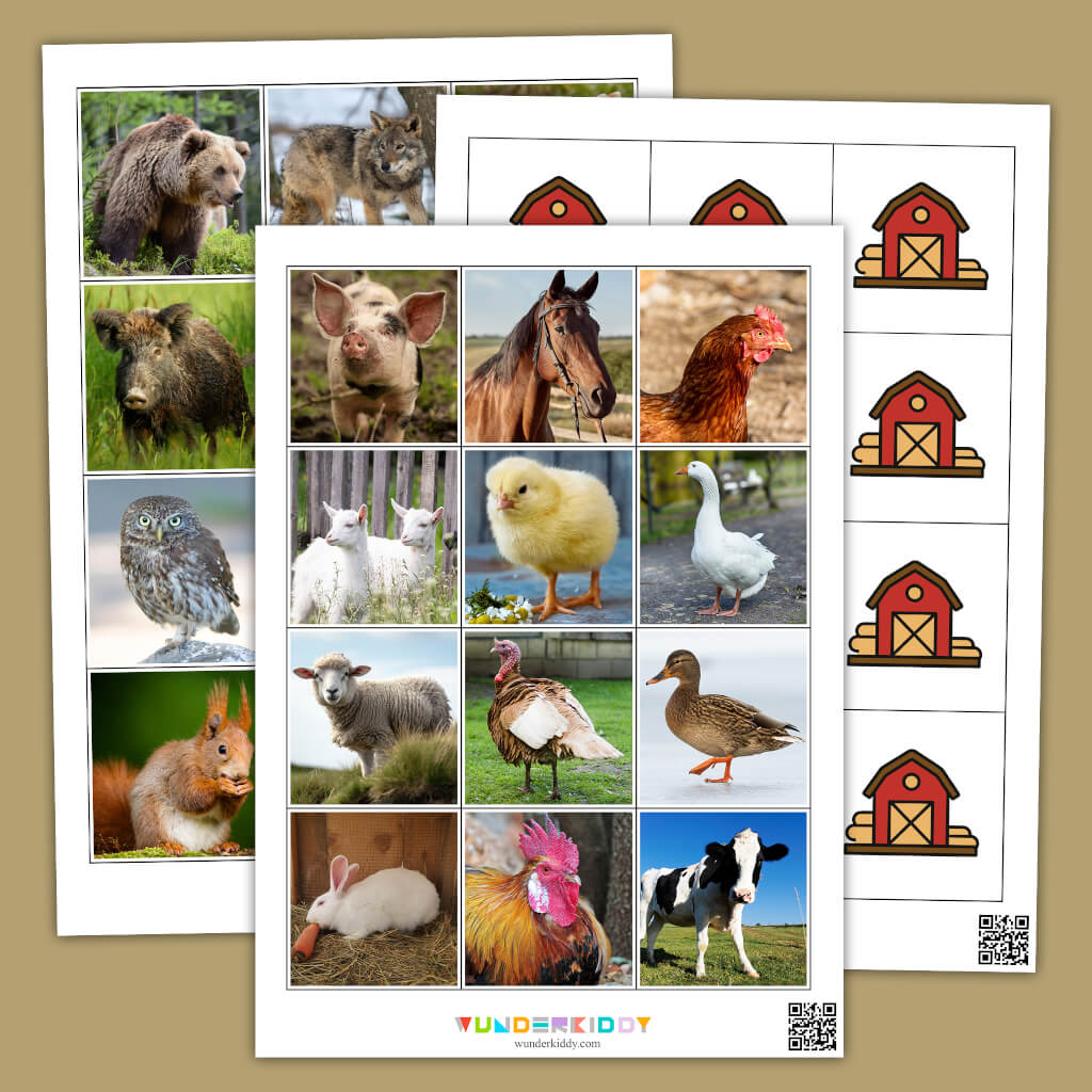 Printable Classification Sorting Mats: Domestic vs Wild Animals