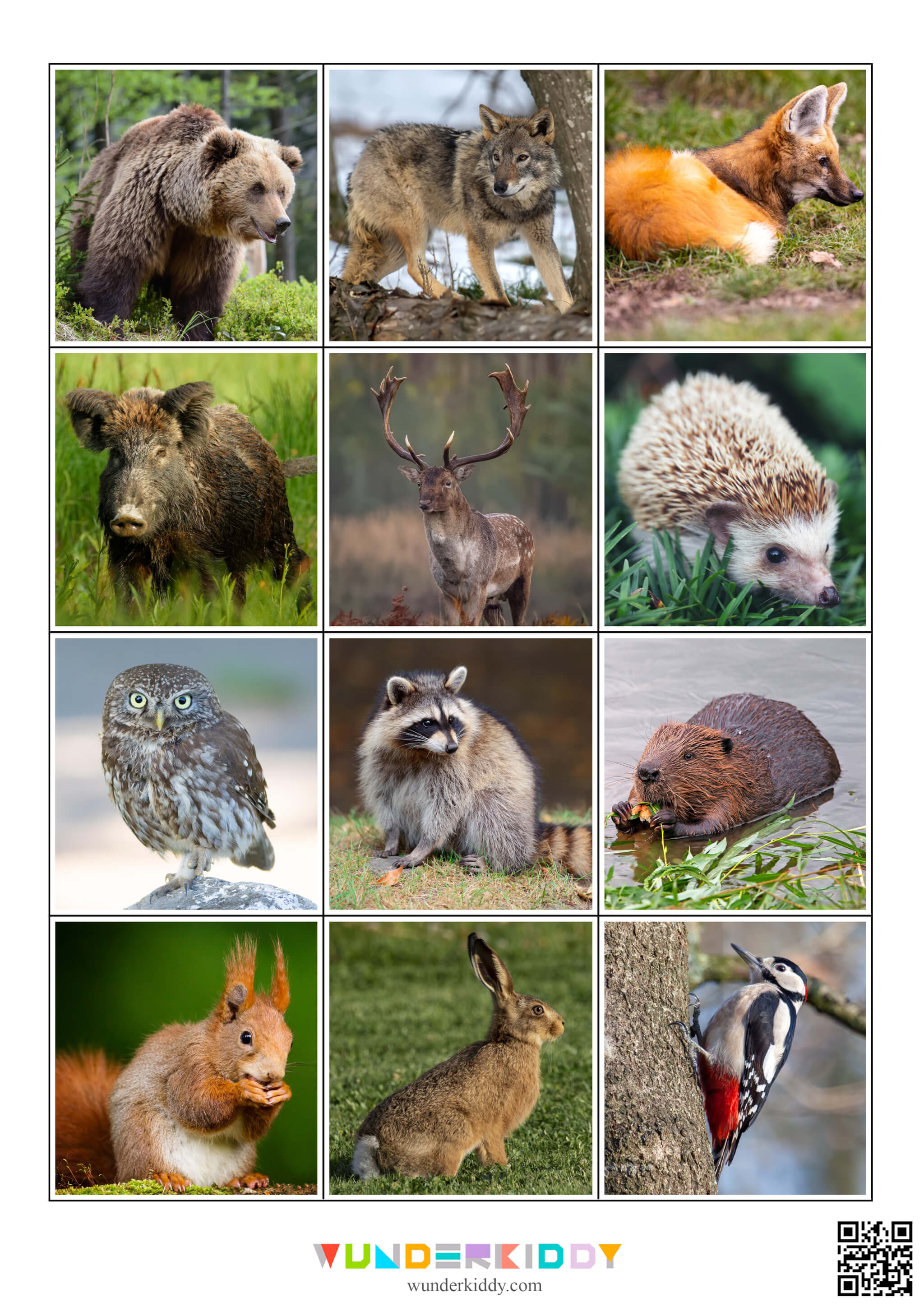 Printable Sorting: Wild or Domestic? - Image 5